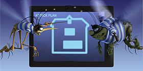 Bichos Planean ataque